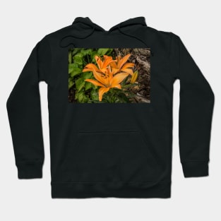 112216 orange lily Hoodie